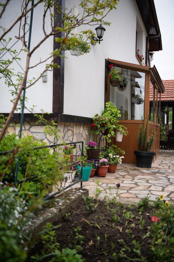 טריגראד Guest House Rossy מראה חיצוני תמונה