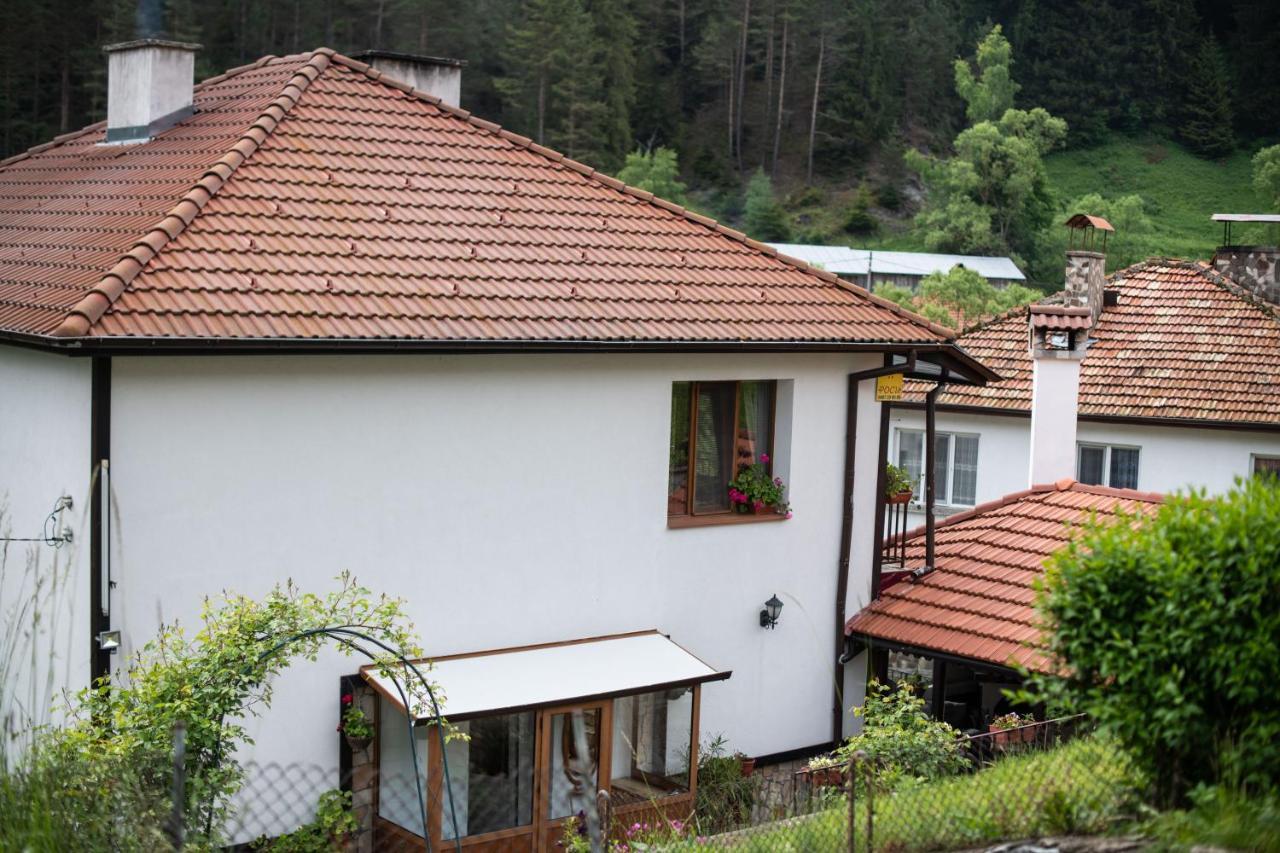 טריגראד Guest House Rossy מראה חיצוני תמונה