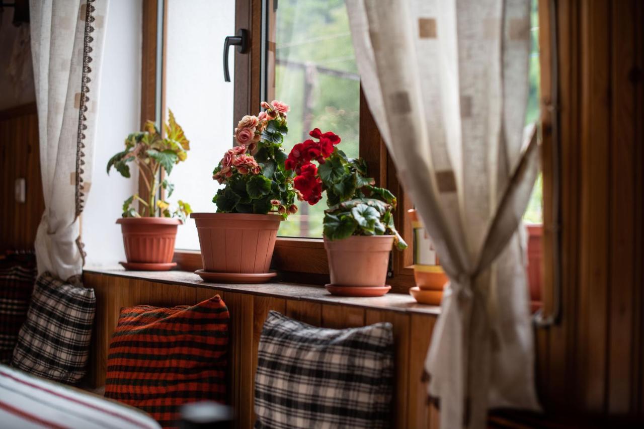 טריגראד Guest House Rossy מראה חיצוני תמונה