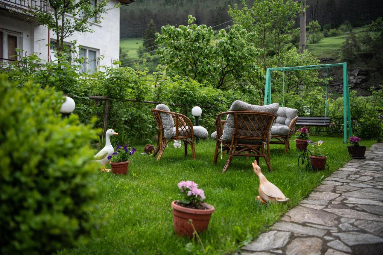 טריגראד Guest House Rossy מראה חיצוני תמונה