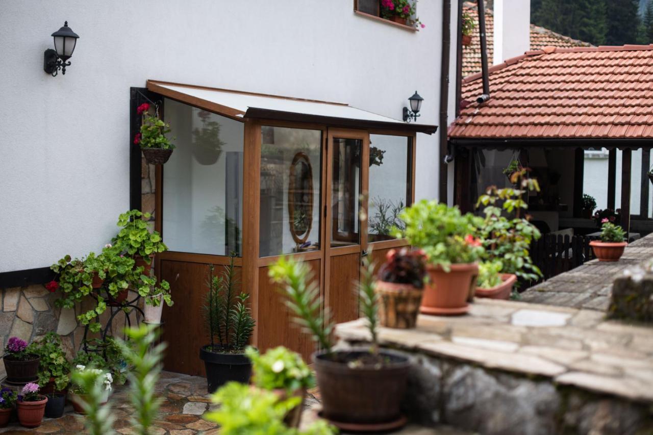 טריגראד Guest House Rossy מראה חיצוני תמונה